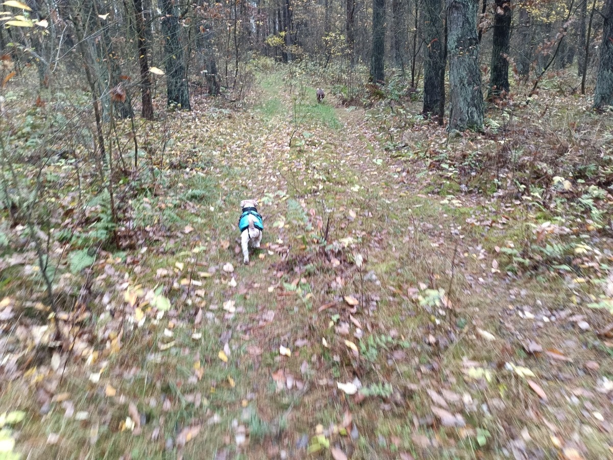 a5942b90-fb79-417b-b4e8-4bdb3f8cd73b