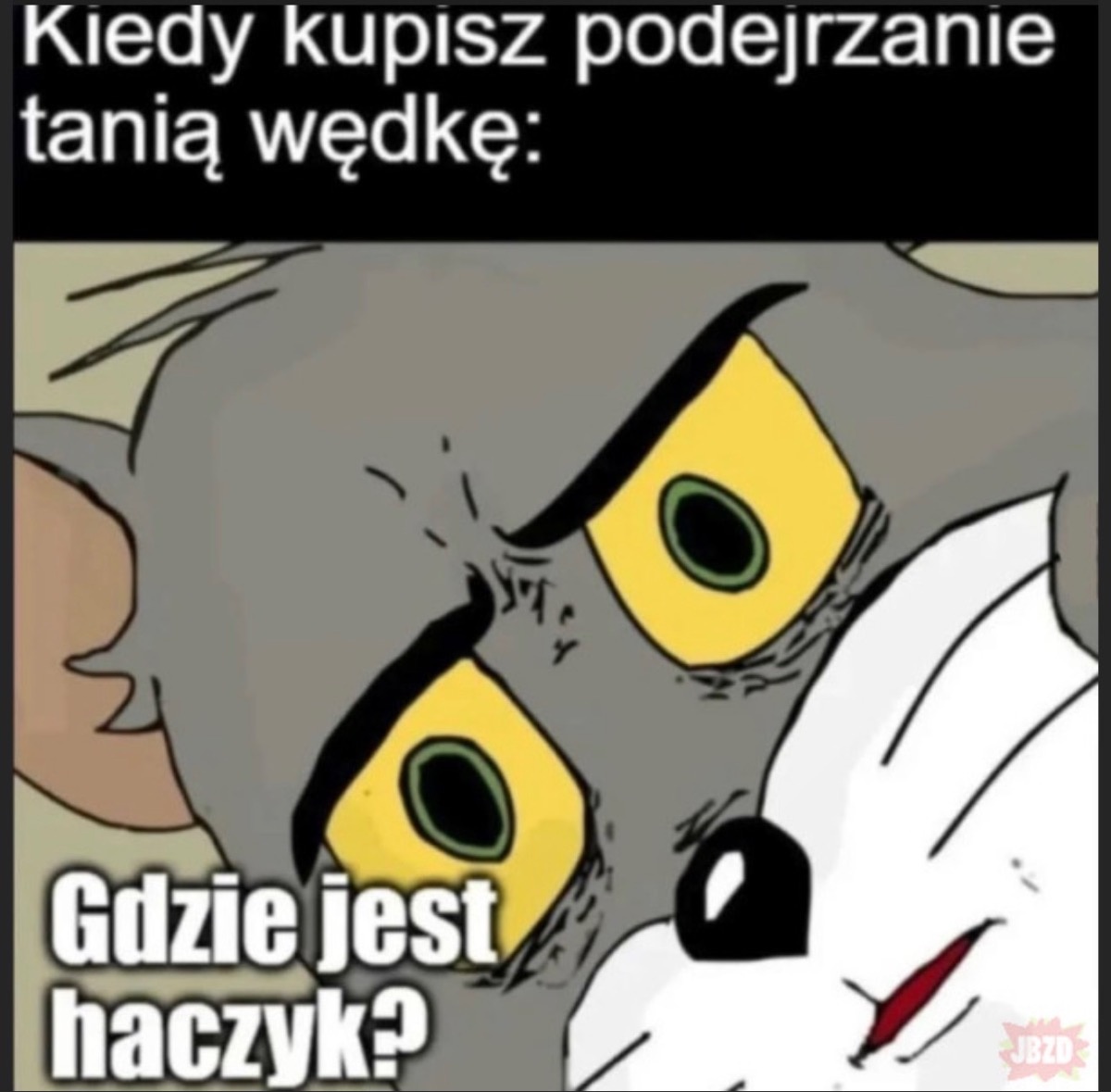 3b5f723d-fc5e-48b2-9997-07cfdbe2ae81