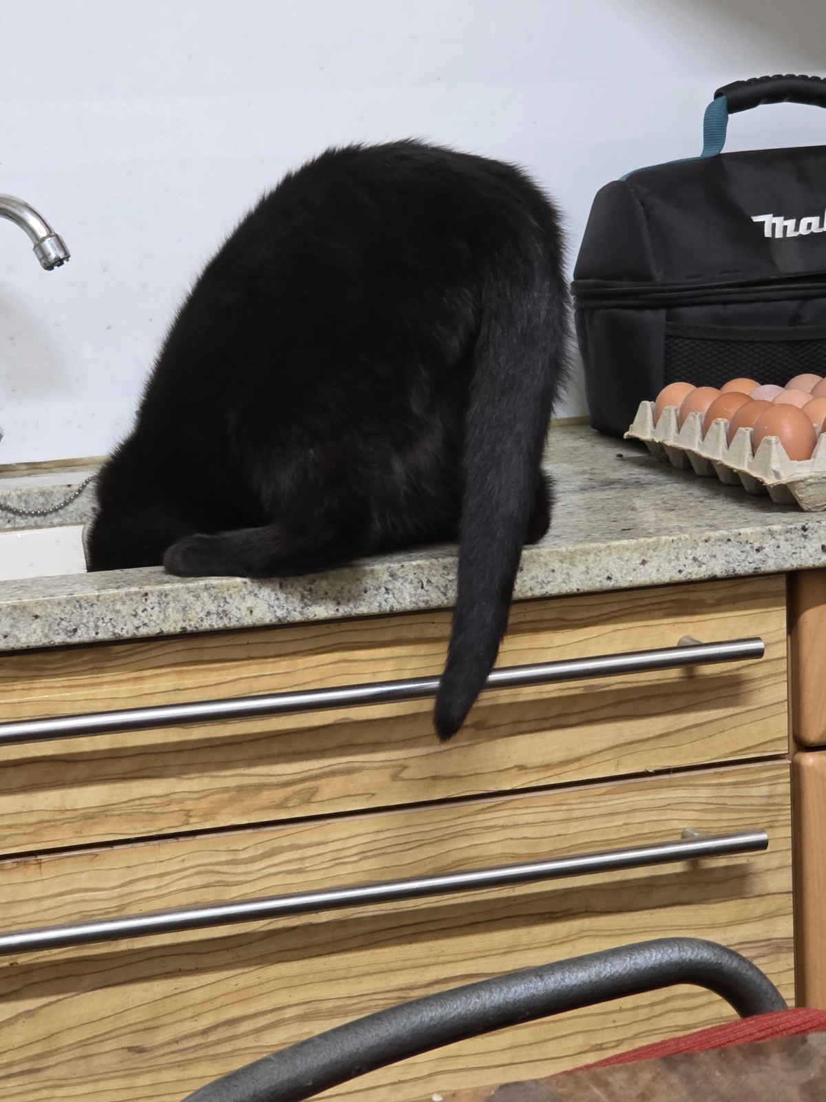 7a0b0388-ed46-4134-936a-9447a8bb9c95