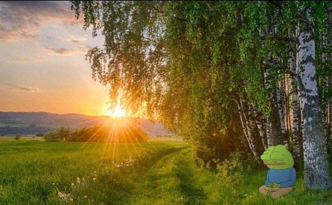 695c951c-74d0-4e93-8808-a7eadf558065