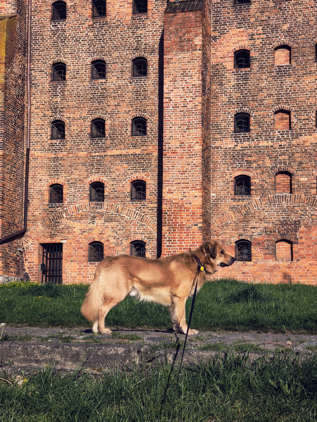 1f5c8dc8-e1ac-4746-b484-af4211957bcb