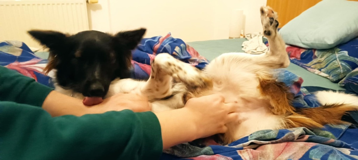 7bb8c9fa-a497-45b0-ad2c-386e8309bdc7