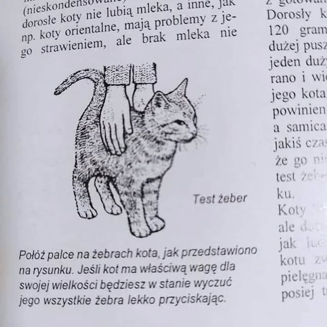 03be42c7-b186-48fa-a4e4-2ce2060282e2