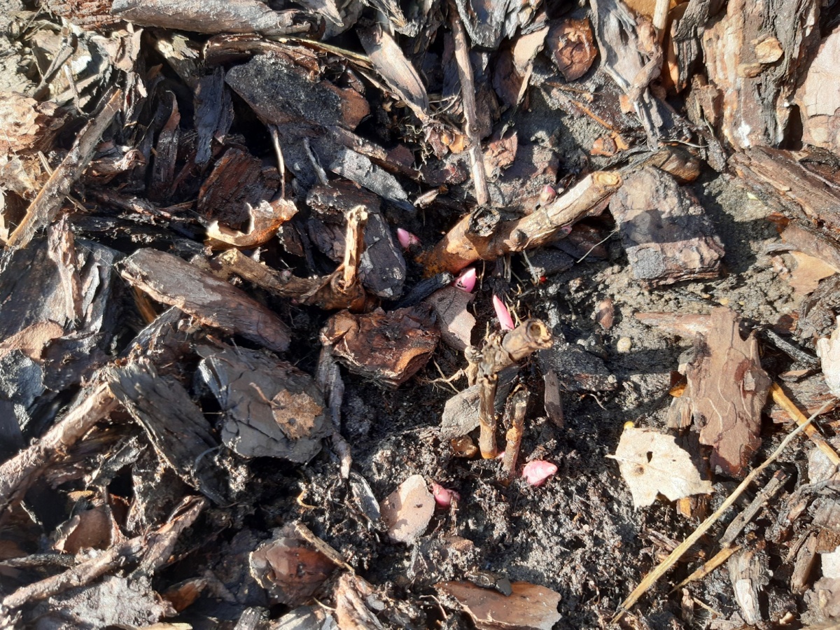 9bcb7072-7843-48fb-ab75-0c42d462b082