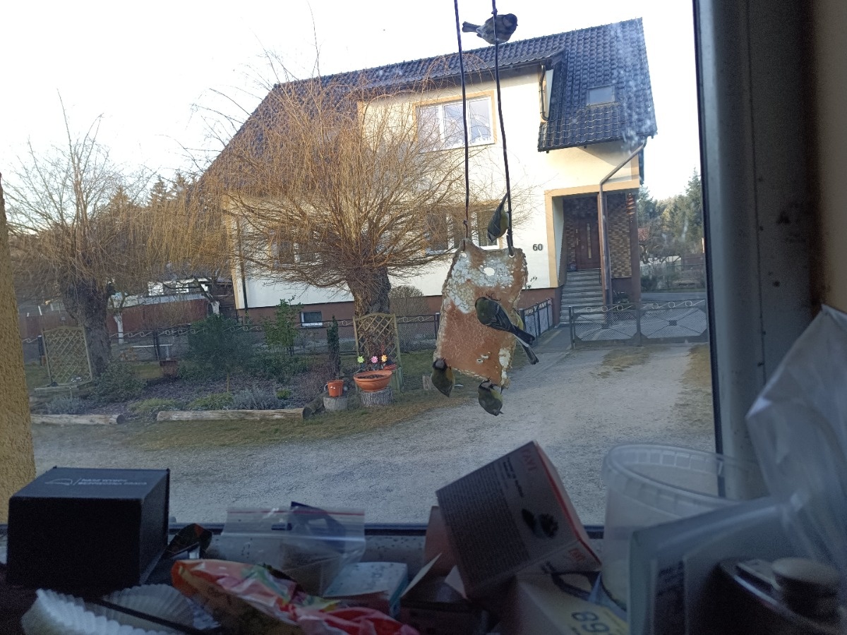 0b7741d2-915a-4b3e-9da1-8bedd9c1dca6