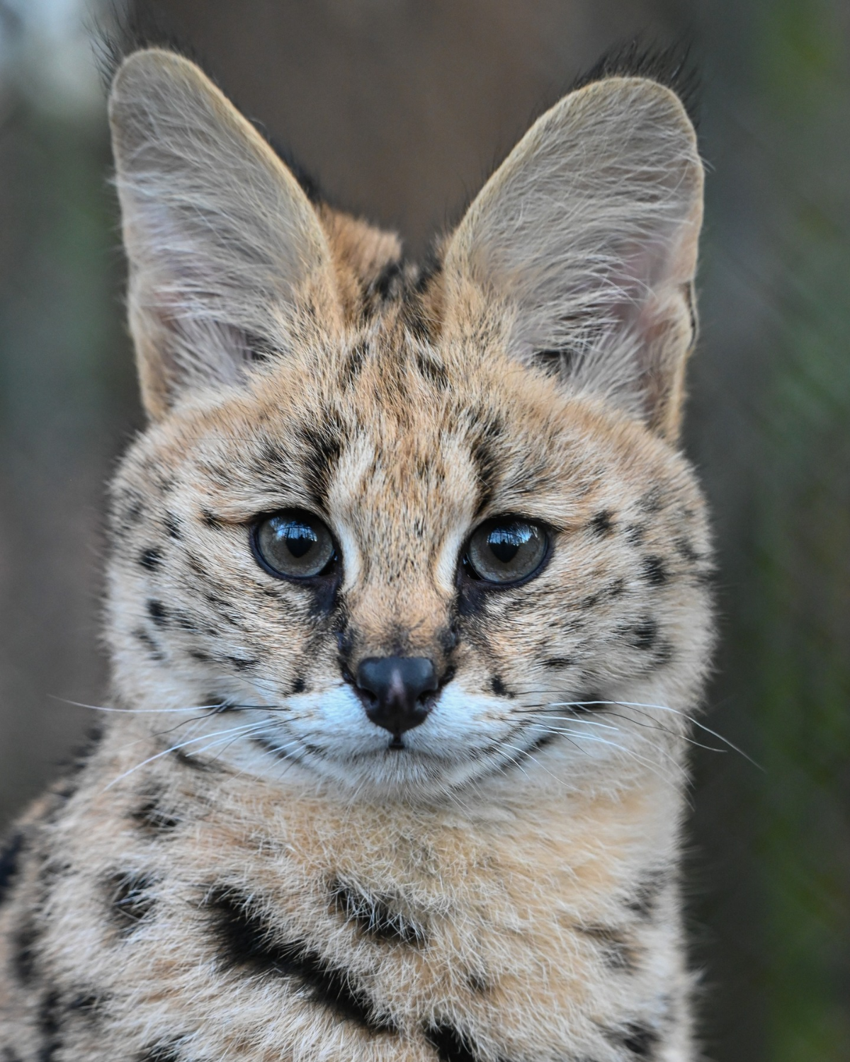 b7eb7c4a-7ee7-47d9-8bed-d7d92b19daf5