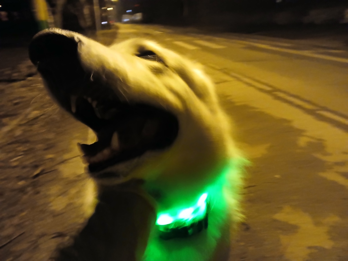 05081d94-c7db-434e-b309-0ff0bb0ffb14