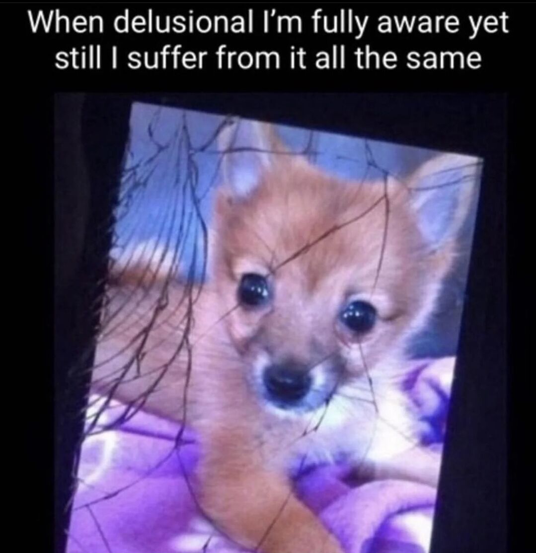 385aa7e0-ddd3-4b4c-a18b-34a534272b98