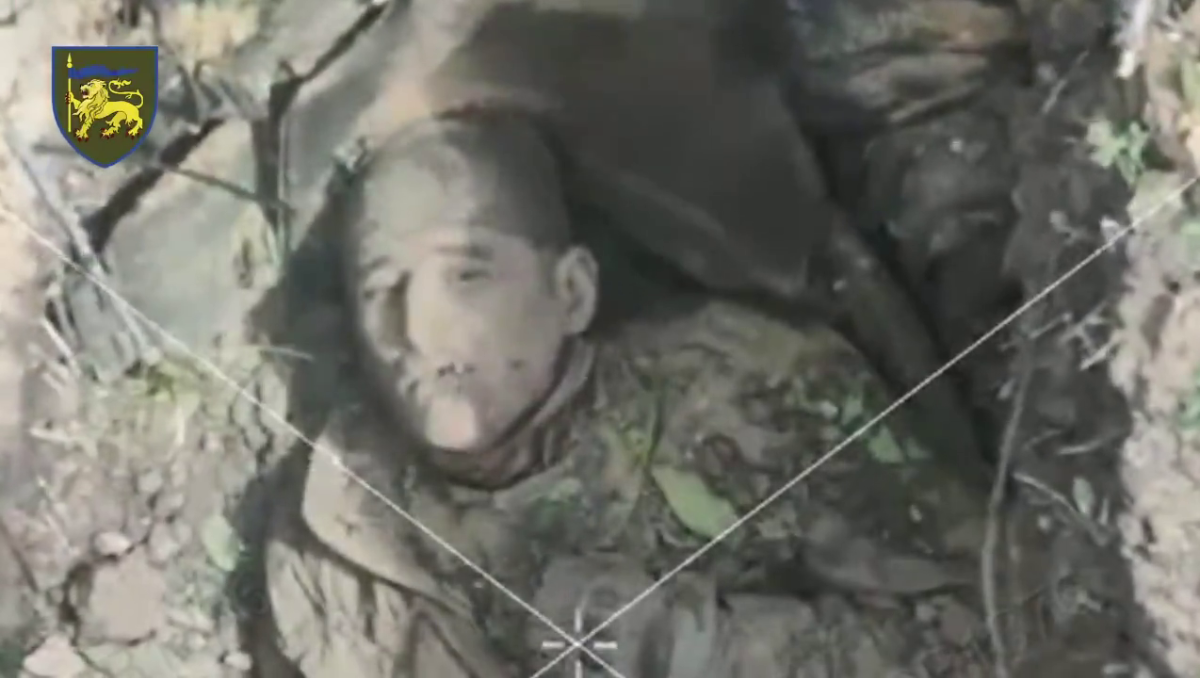 8ecdeafe-6c7c-4956-83d1-074d258cddca