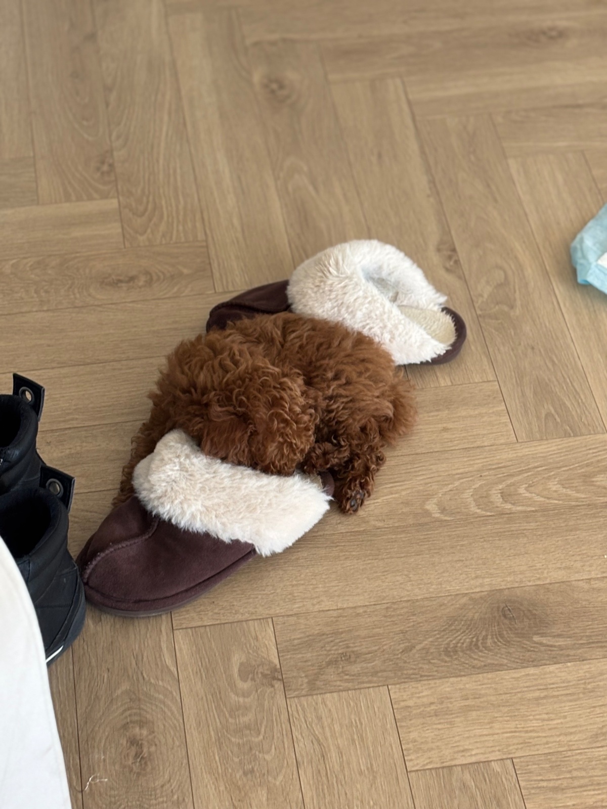 4393154f-45c6-435f-9f9e-86a08930bbb7