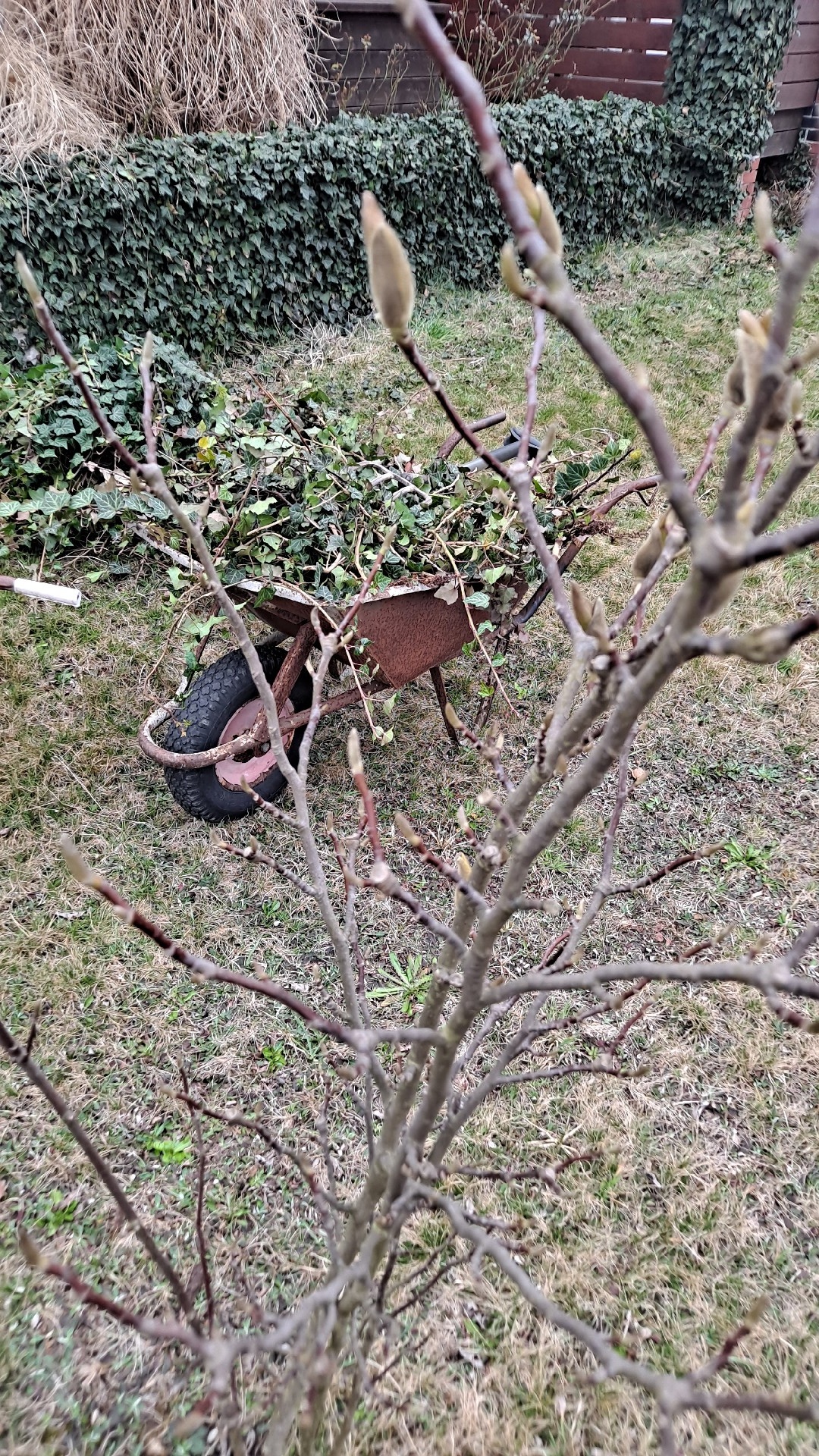 446b5359-1780-4761-9b6e-50b95cb0075f