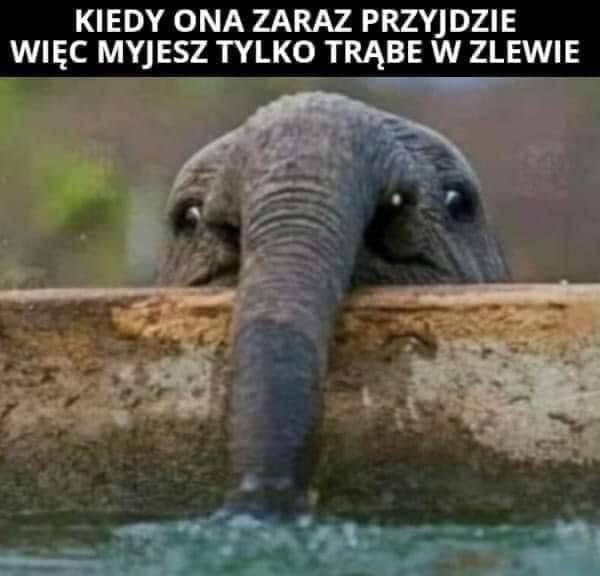 6be8457b-0229-4eba-8239-8ba205102519