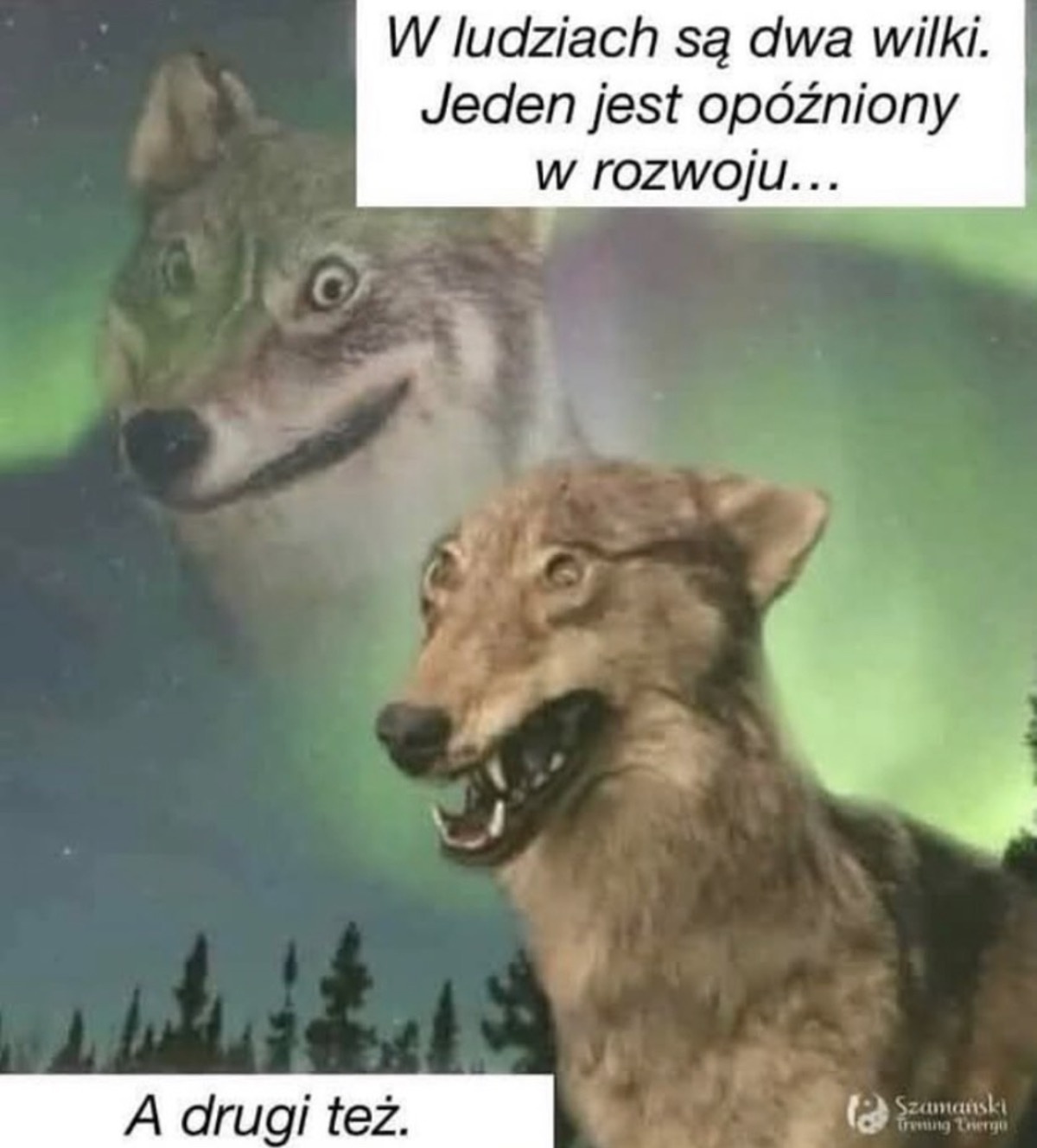 e58f1251-9565-49a2-98d9-1dc64536c035