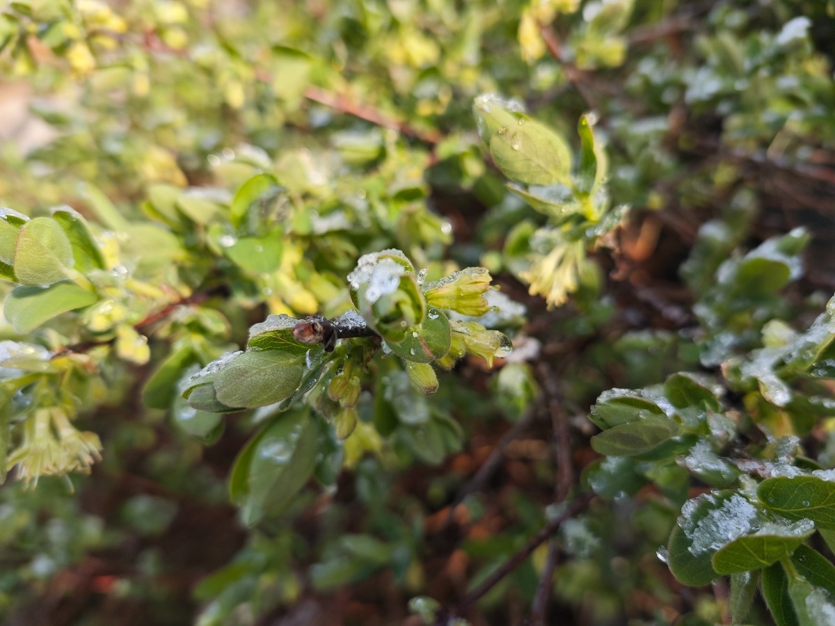 609e67ed-c886-46c3-967a-ab645f67be03