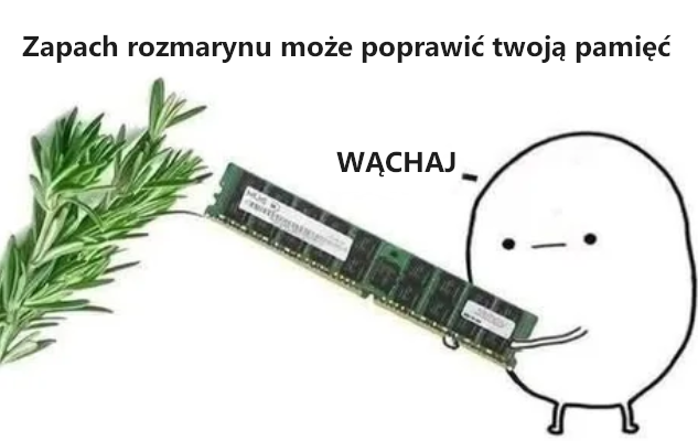 95f595e1-1484-409e-9787-cef8d278ced4