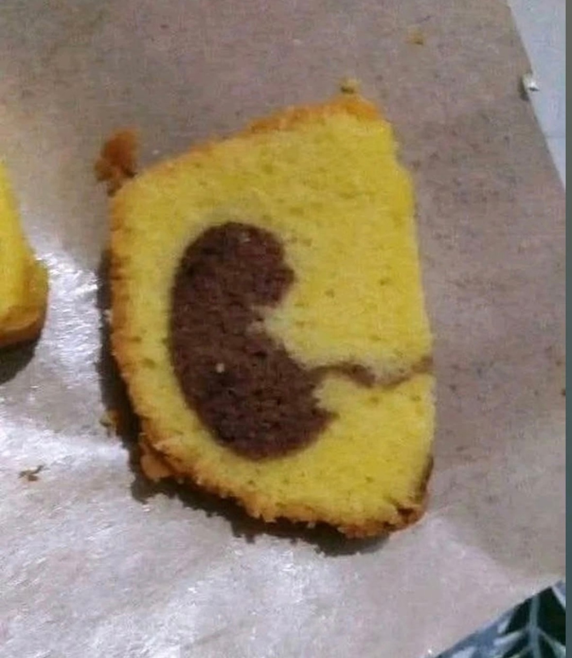 44a1c09b-6fd8-4873-9d0e-32fcb532ade4