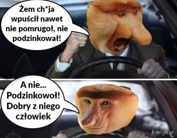 af8e7716-c15d-47d1-8c85-1b049079008c