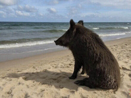 1c3f3573-cd59-4cc6-95ca-26ab6d6318f2