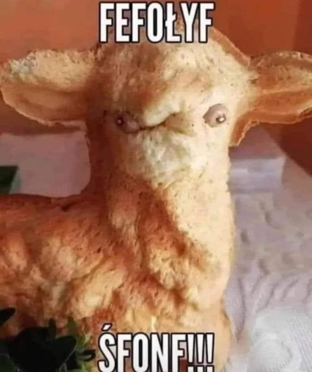 e12626b1-f27d-434a-8572-962b505ea9bc