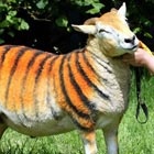 3aff23a9-02ab-4554-837c-792b644400b4