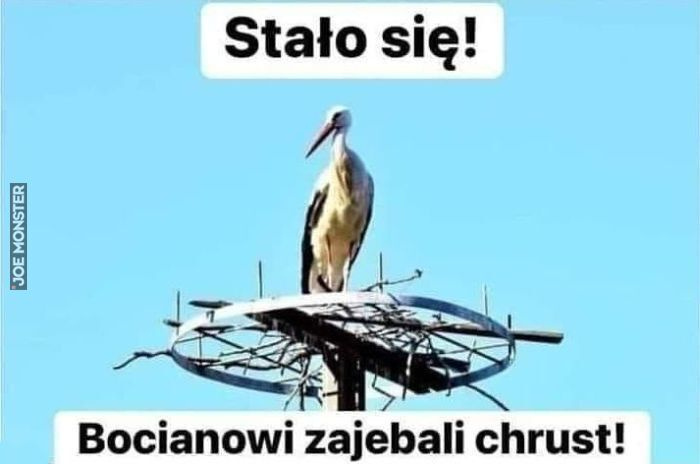 e98d2423-3dd4-4be2-a007-ae82db196ce0