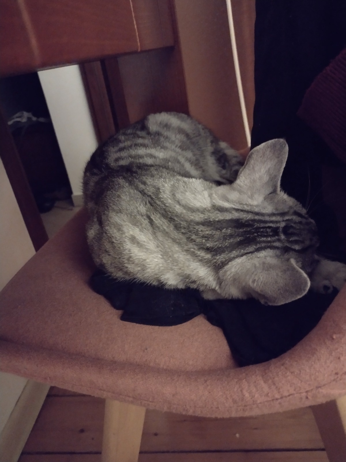 120cfbd5-38d3-40fa-8418-eca503c5a275