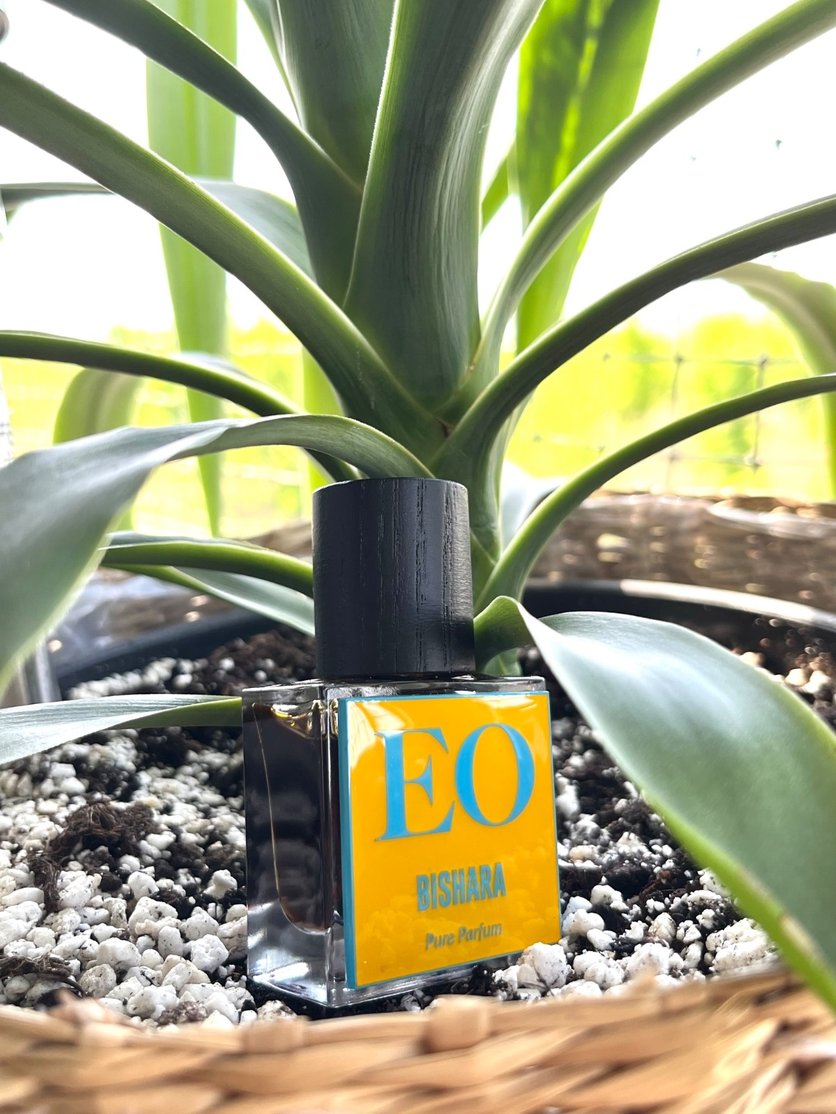 4f38b74c-08be-42e0-a5a5-095cf503c5be