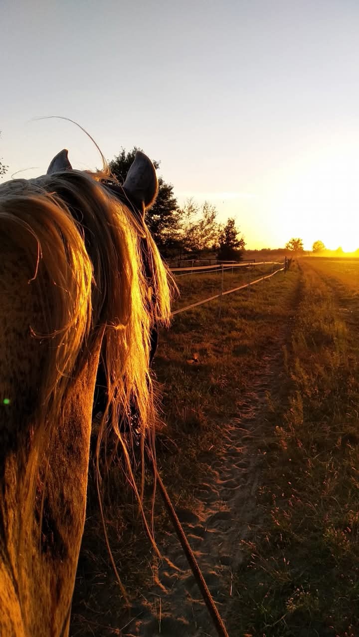 a8997059-6b65-4bd0-ab2f-5b0a42d8ef5a