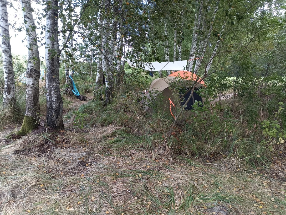 32a3370d-d91c-4b1c-aba3-e25b832c68b5