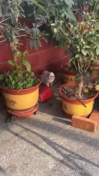 b9e42f1b-29cd-4e05-a4be-3853d97e931b