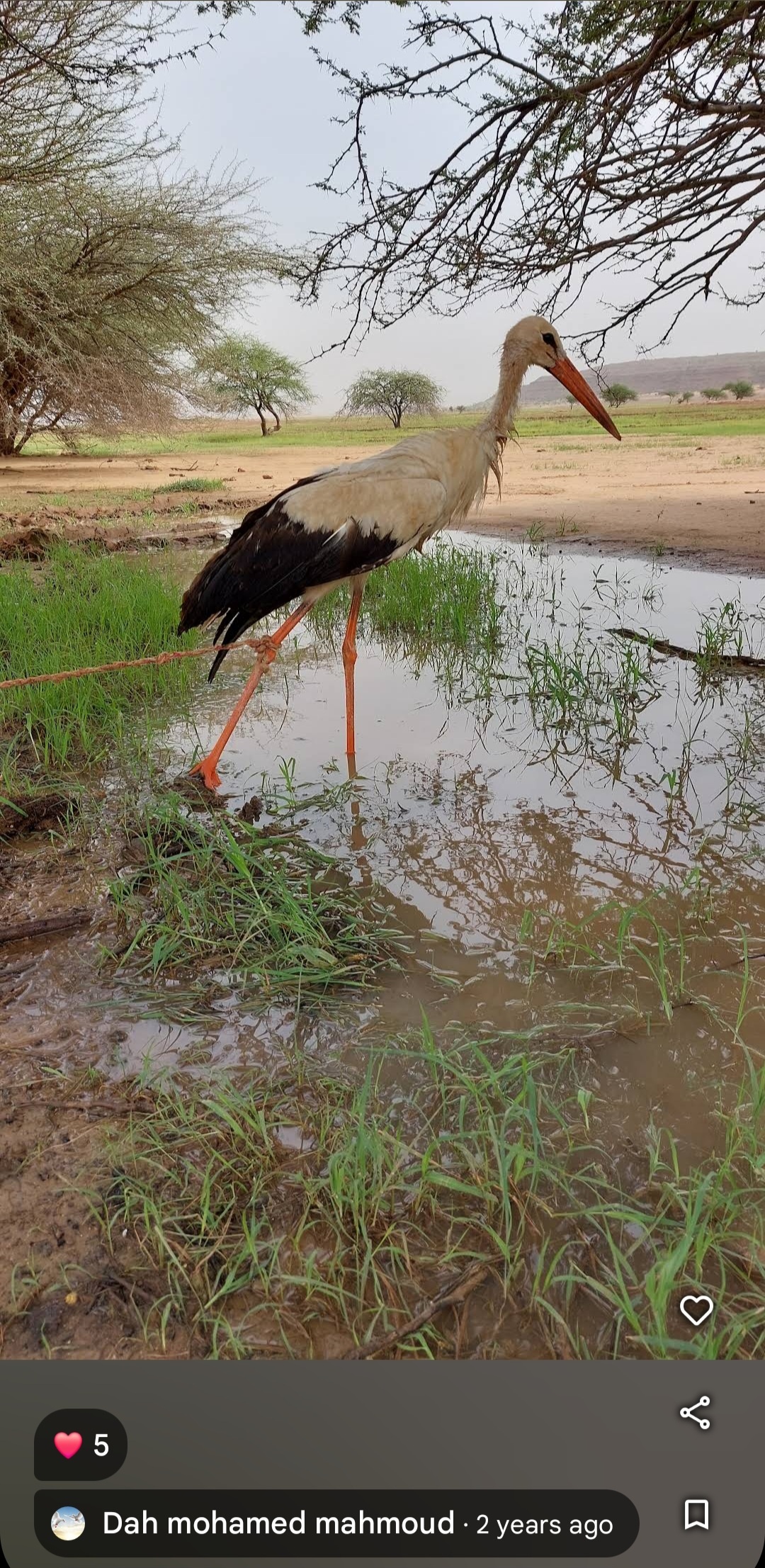 d351e91b-5a04-48ad-960c-d6d22351706c