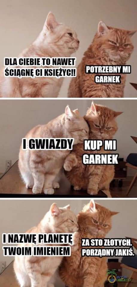 ce020908-c279-46a3-96a9-467495c2ed81