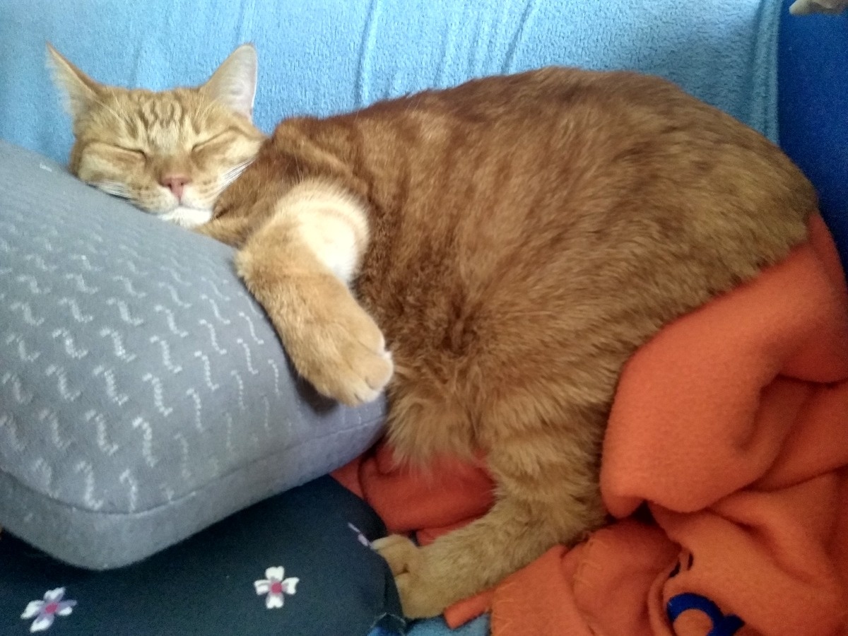 1a5b7754-612a-4deb-baa9-1ac4ffd7f3af