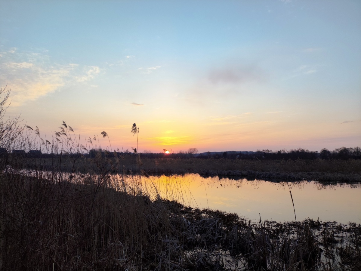 93404af0-7a1e-4db9-8208-03cf566836f5