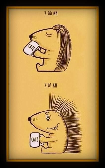 76e9681f-630f-4832-8090-c90747b1cb42