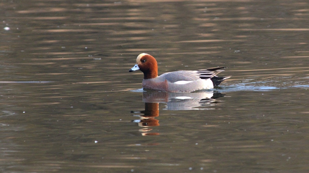 256591b2-4c7f-41c9-8f30-2fb31ab8f906