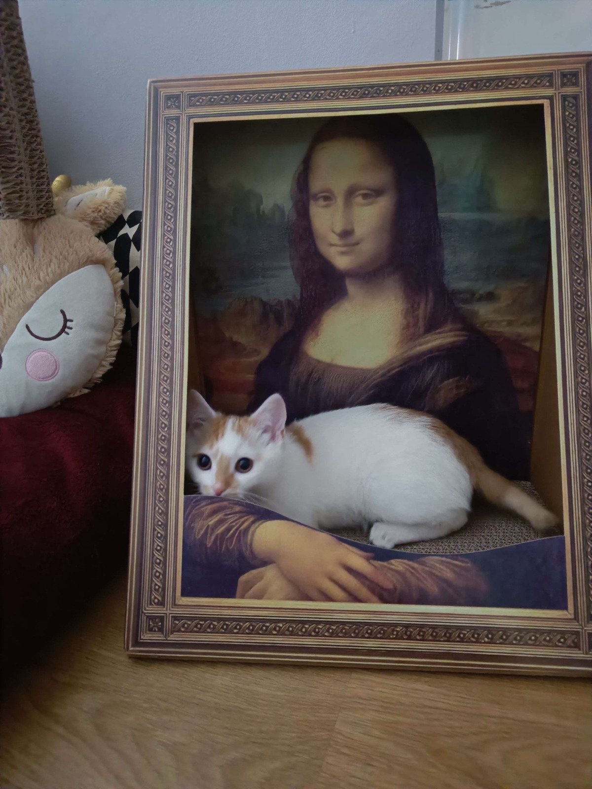 bdff3f64-2c8c-4c46-8362-812bfa160b4a