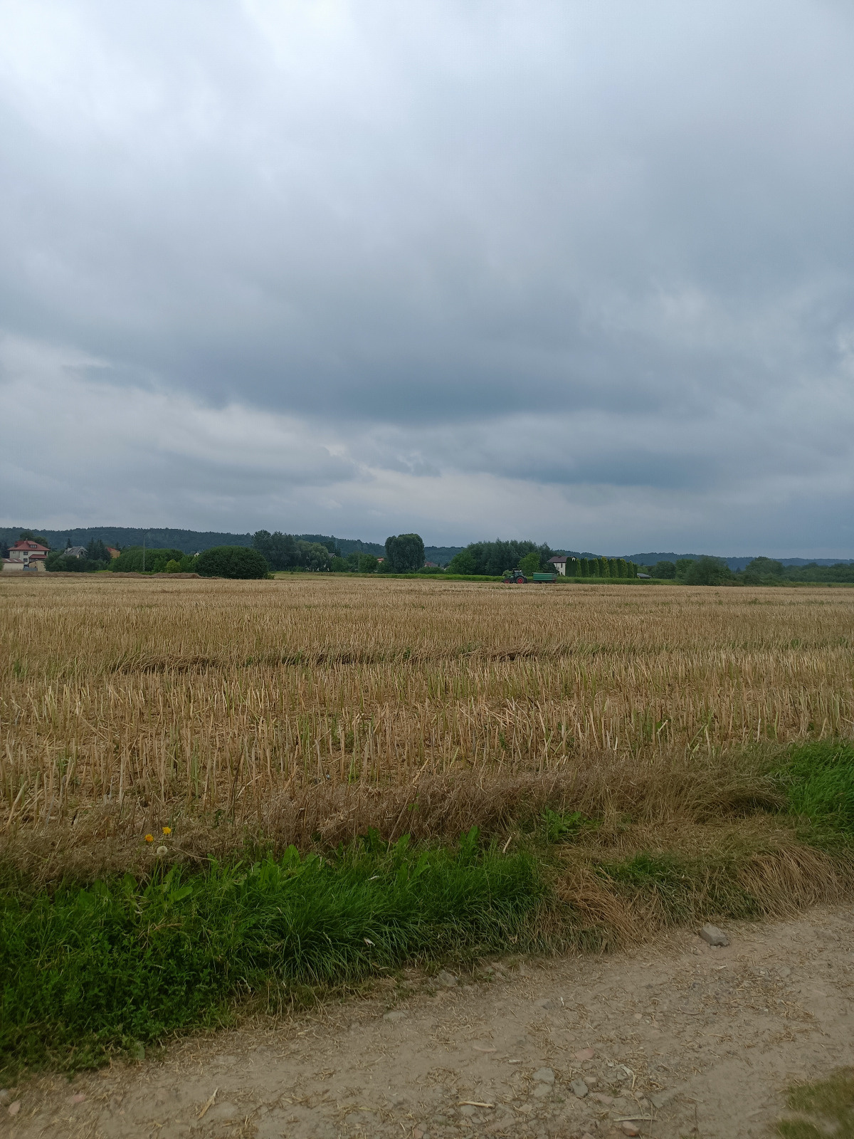 b6003299-c9d7-47a5-88ab-1676fffe3a30