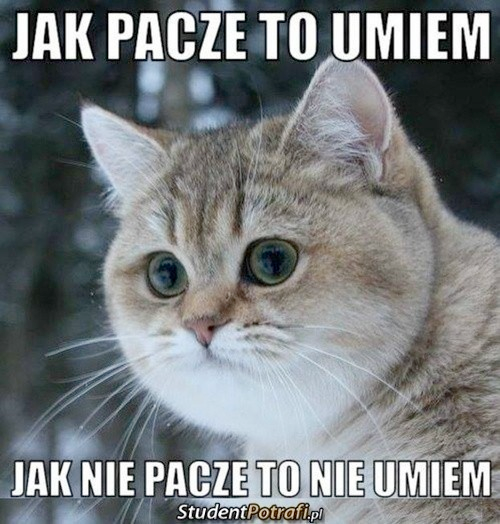 22c922c9-4e1a-482f-af6e-caa10e3c2237