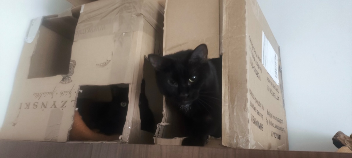 1f643387-5491-4246-b98c-d373c5a087af