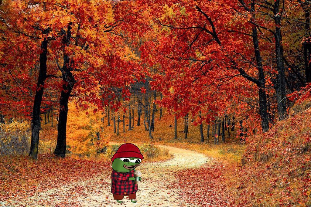 f63fb6b5-9915-4786-add8-b445a74b9dc3