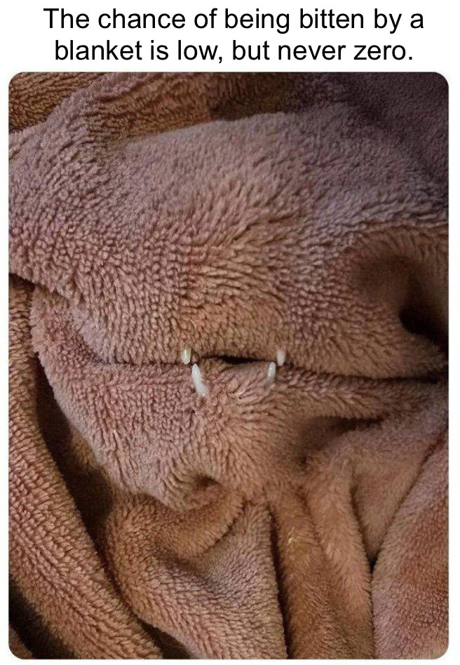 027ebabd-6101-4d56-b5cf-89dc2b7ac962