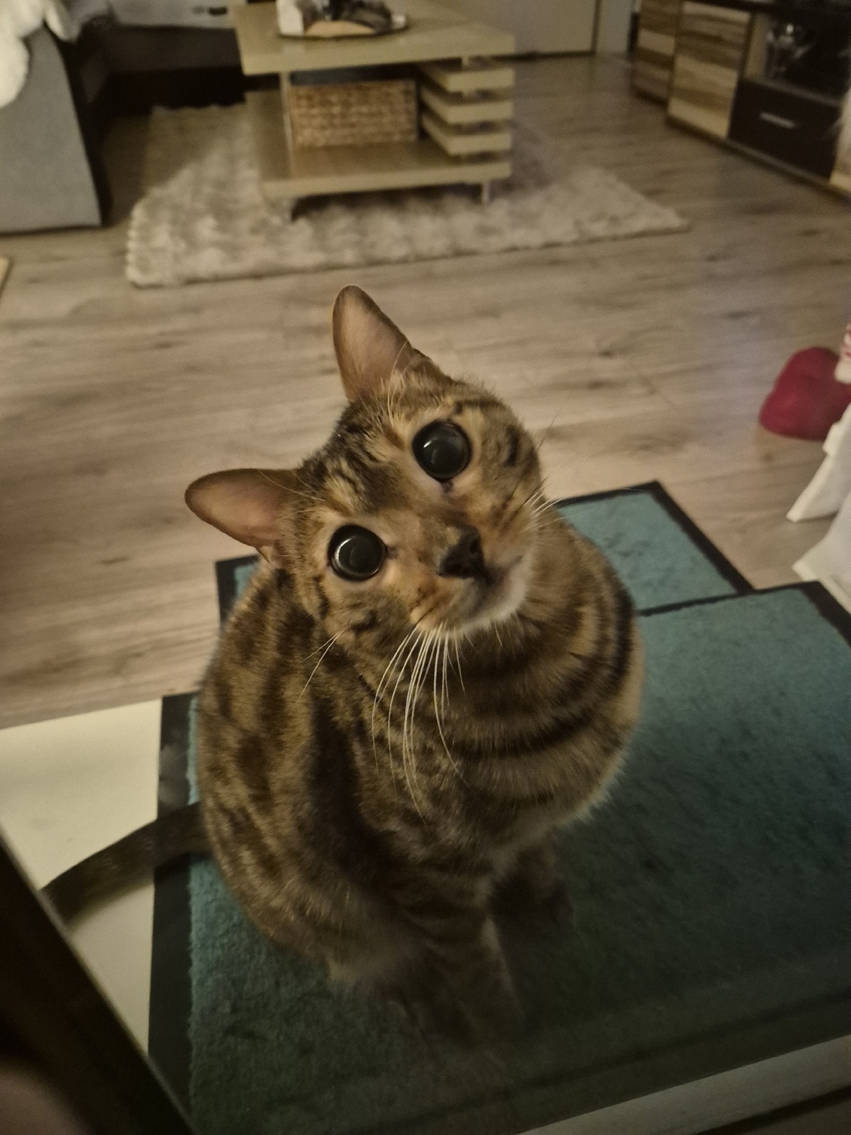 aad25b68-d66b-4207-abce-636988c136c9