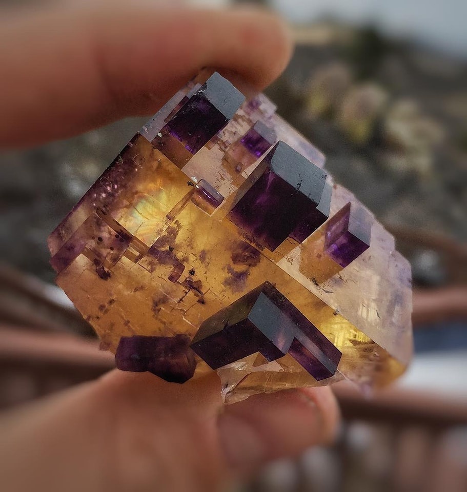 3a063b66-c0e6-48d5-9e09-d07b576ebc01