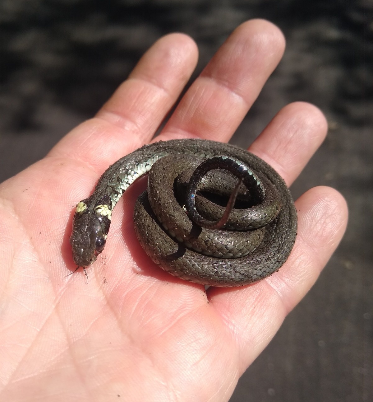 8634f214-fb95-4fb2-b7d2-d086afc0404c