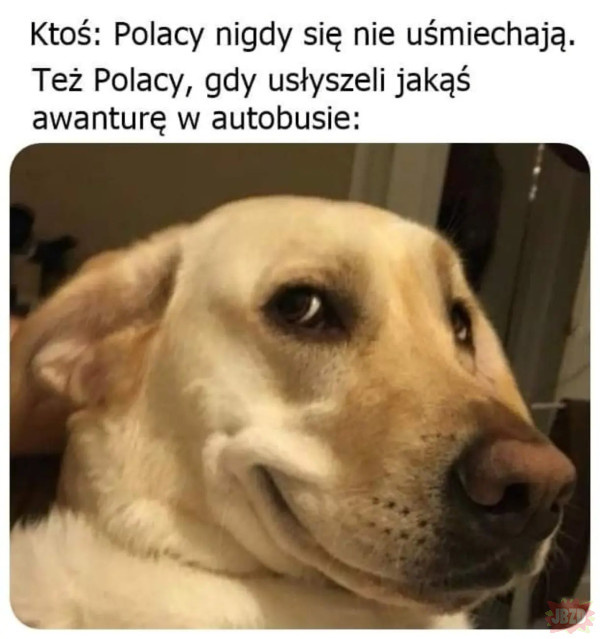 894dc114-0c10-4dfa-8e90-42ff25d9fdca