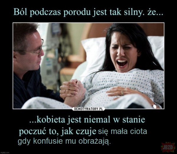 528f8582-7300-48a4-9830-bcfde2c88f2d