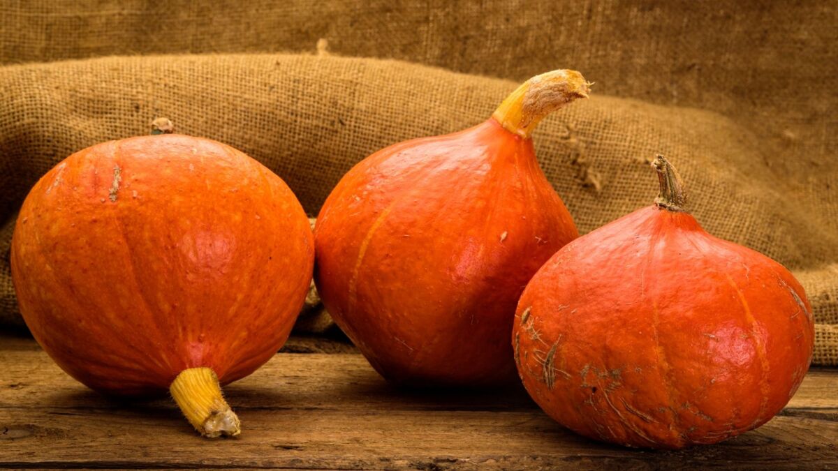 9d0560b8-548d-4205-97a7-4c1329d2d579