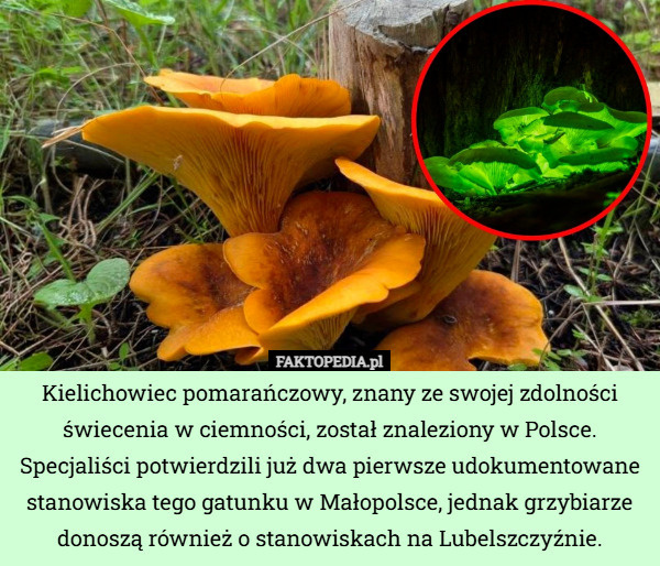 89f70dc4-b8da-48cd-9b7a-99b644b89bd1