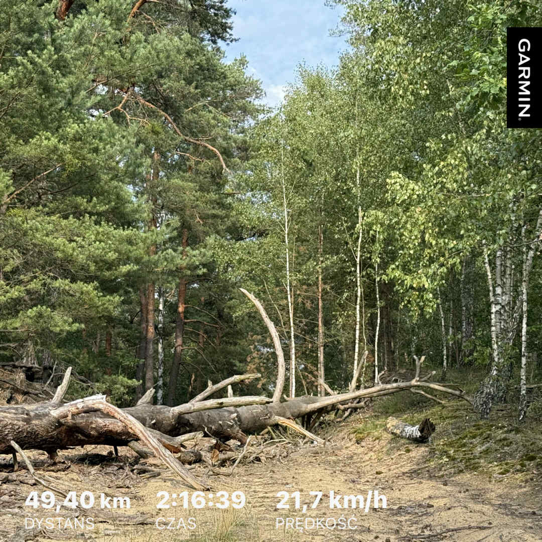 1070c151-2f07-4973-b411-49f4a976a167